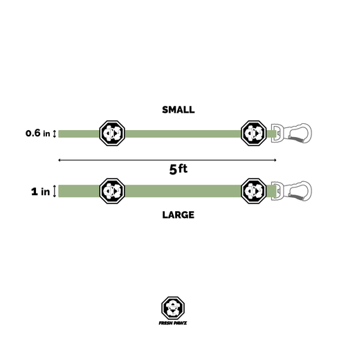 Caesar Cuban Link | Leash